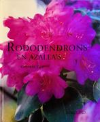 Rododendrons En AzaleaS 9789060975626 Kenneth Cox, Boeken, Natuur, Gelezen, Kenneth Cox, Verzenden