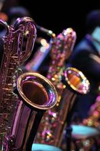 Volledige Saxofoon Revisie, Muziek en Instrumenten, Blaasinstrumenten | Saxofoons, Ophalen of Verzenden, Zo goed als nieuw, Alt