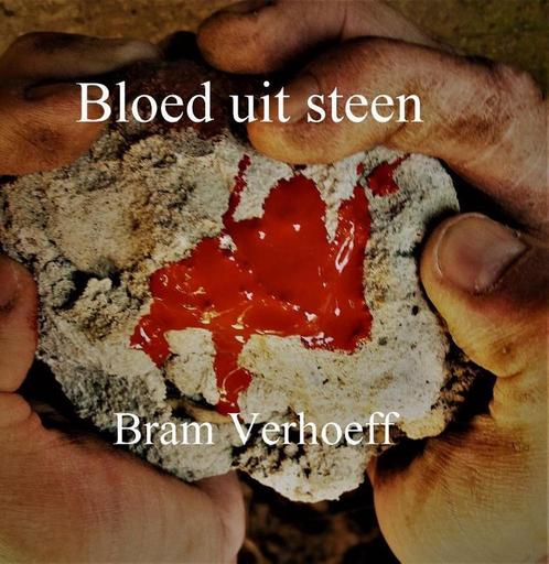Bloed uit Steen 9789492719201 Bram Verhoeff, Boeken, Thrillers, Gelezen, Verzenden