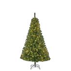 Black Box Trees - Charlton x-mas tree led green 140L TIPS