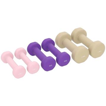 Halterset 6-delige Set Halters Met Koffer, Gewichten, 0,5kg, beschikbaar voor biedingen