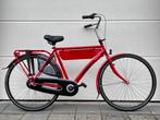 Azor Jersey H55cm N3 VAN �829 VOOR �549!