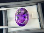 Zonder Minimumprijs - 1 pcs Paars Amethist - 31.10 ct -, Sieraden, Tassen en Uiterlijk, Edelstenen, Nieuw