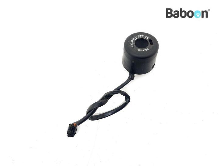 Immobilizer Ontvanger Ducati Hyperstrada 821 2013-2015, Motoren, Onderdelen | Ducati, Gebruikt, Verzenden