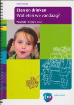 Piramide versie 2 Projectboek Eten/drinken, Boeken, Verzenden, Nieuw