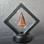 Mosasaurus - Fossiele tand - 41 mm - 21 mm (Zonder