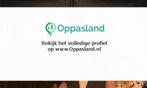 Salom zoekt een oppas in Amersfoort voor 2 kinderen voor..., Vacatures