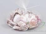Decato Pecten Plica Jacobsschelp ca. 350 gram, Hobby en Vrije tijd, Ophalen of Verzenden, Nieuw