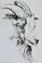 Jules RENARD (Jules) / Pierre LETELLIER - Histoires