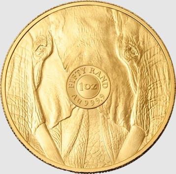 Zuid-Afrika. 50 Rand 2025 1 oz Big Five - Elephant Elefant beschikbaar voor biedingen