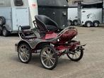 Tweespan / Anatomic / Marathonwagen / Pony / 21/19 Inch, Gebruikt, Marathonwagen, Pony