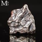 Campo del Cielo - meteoriet – ijzer-nikkel met