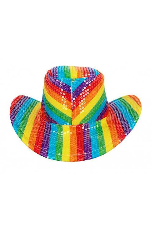Cowboyhoed Regenboog Pailletten Strepen Pride Gekleurd Cowbo, Kleding | Heren, Carnavalskleding en Feestkleding, Nieuw, Overige maten