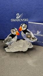 Swarovski - Papegaaiduikers 261643 - boxed en certificated -