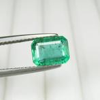 1 pcs Groen Smaragd - 1.68 ct - International Gemological, Nieuw