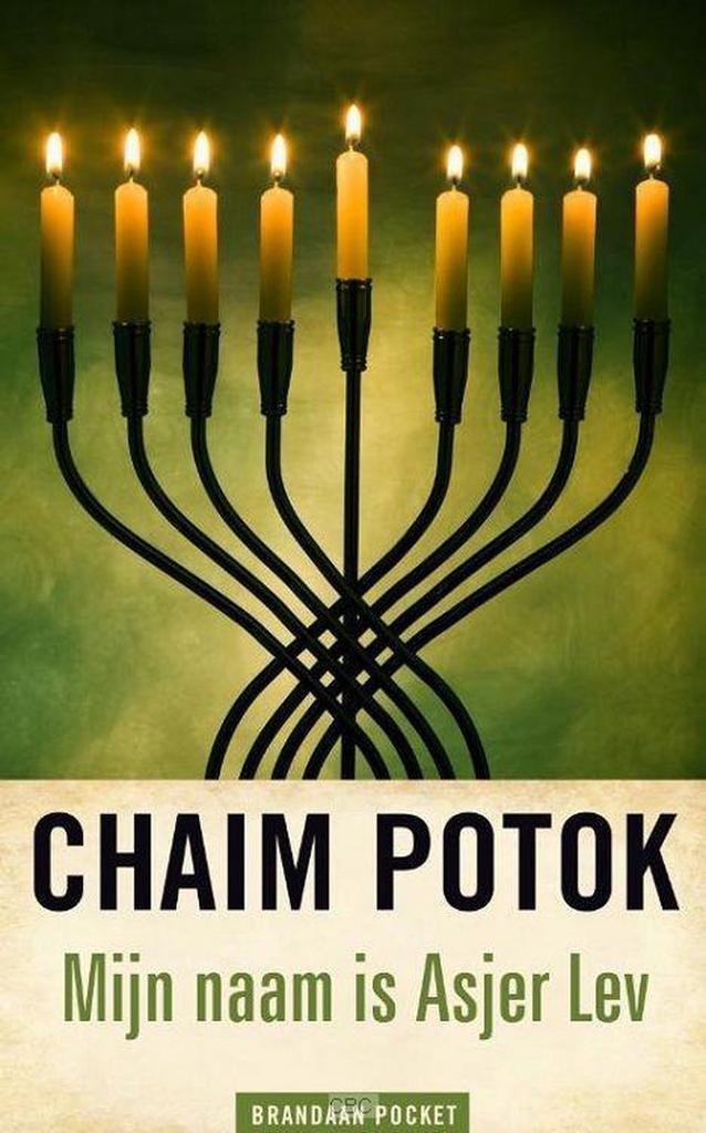 Mijn naam is Asjer Lev 9789460050121 Chaim Potok, Boeken, Gedichten en Poëzie, Gelezen, Verzenden