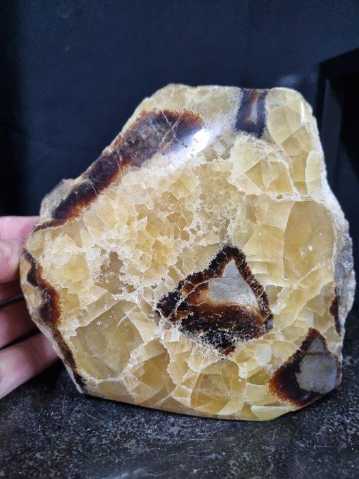 XXL Septaria, Septarie sculpture - Hoogte: 148 mm - Breedte:, Verzamelen, Mineralen en Fossielen