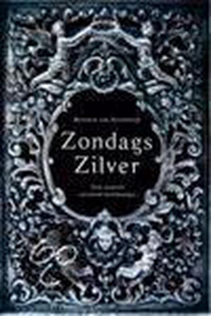 ZONDAGS ZILVER 9789061266815 B. van Noordwijk, Boeken, Kunst en Cultuur | Beeldend, Gelezen, Verzenden