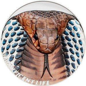 Cook Islands. 5 Dollars 2017 Magnificent Life - Wasp Cobra 1, Postzegels en Munten, Munten | Europa | Niet-Euromunten