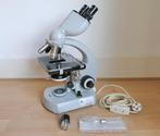 Binocular compound microscope - Model Standard 14 -