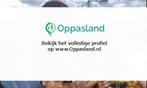 Karoline zoekt een oppas in Den Haag voor 2 kinderen., Vacatures, Vacatures | Schoonmaak en Facilitaire diensten