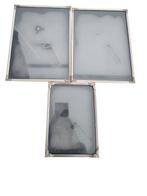 Fotolijst (14) - Zilver, Chroom, Legering, Metaal, Aluminium, Antiek en Kunst