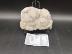 Apophylliet Kristal Cluster India - Hoogte: 15 cm - Breedte:, Verzamelen