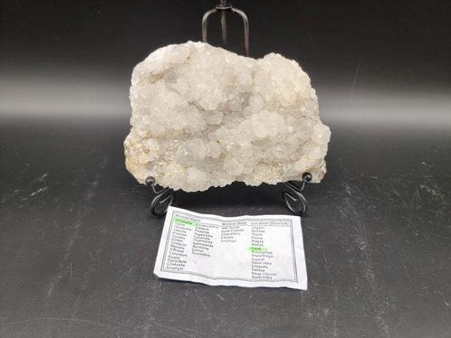 Apophylliet Kristal Cluster India - Hoogte: 15 cm - Breedte:, Verzamelen, Mineralen en Fossielen