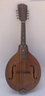 Unknown - A-40 model -  - Mandoline - VS  (Zonder, Muziek en Instrumenten, Nieuw