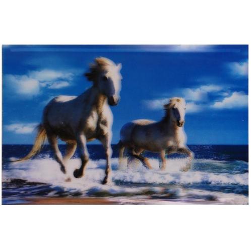 3-d poster witte paarden in de zee NIEUW, Verzamelen, Posters, Nieuw, Ophalen of Verzenden