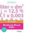 Werkboek wiscat PABO 9789082792928, Boeken, Verzenden, Zo goed als nieuw