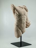 Beeld, Torso ellenistico - 34 cm - scagliola en marmerstof