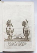 DAlessandro - Paragone de Cavalieri - 1711