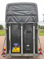 Strakke polyester Henra 1,5 paards paardentrailer!, Ophalen, Zo goed als nieuw, Polyester, 1½-paards trailer
