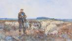Willem Hendrik van der Nat (1864–1929) - Herder met schapen, Antiek en Kunst, Kunst | Schilderijen | Klassiek