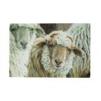 deurmat schaapjes beige 75x50cm, Verzenden, Nieuw