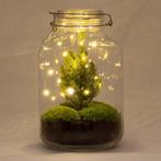 DIY kerst terrarium - Kerstmis - Hoogte 28cm, Diversen, Kerst, Verzenden, Nieuw