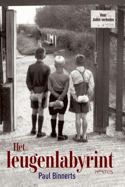 Het leugenlabyrint 9789044647259 Paul Binnerts, Boeken, Romans, Gelezen, Verzenden
