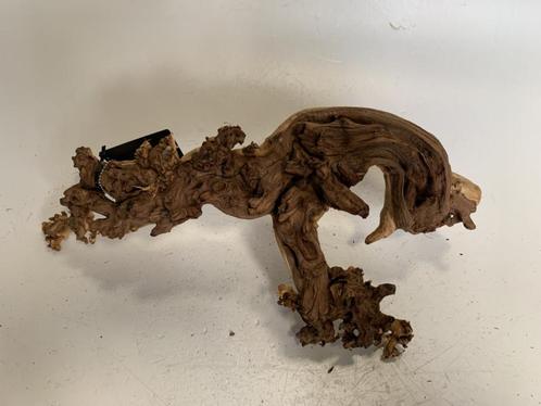 Coral Wood Selected CW49 - 65x16x32cm (Natuurlijk hout), Dieren en Toebehoren, Vissen | Aquaria en Toebehoren, Plant(en), Steen of Hout