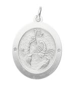 Zilveren Sterrenbeeld schorpioen ovaal kettinghanger, Sieraden, Tassen en Uiterlijk, Kettinghangers, Verzenden, Nieuw