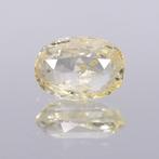 1 pcs Geel Saffier - 2.98 ct - nternational Colored Gemstone, Nieuw