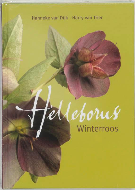 Helleborus 9789058561541 Hanneke van Dijk, Boeken, Hobby en Vrije tijd, Zo goed als nieuw, Verzenden