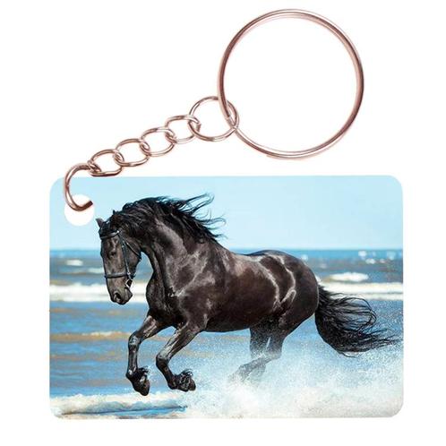 Sleutelhanger 6x4cm - Fries Paard Zwart Galop op Strand NIEU, Verzamelen, Sleutelhangers, Nieuw, Ophalen of Verzenden