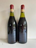 1987 Hermitage Domaine Vidal Fleury - Rhône - 2 Flessen, Nieuw