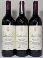 2020 Bodegas y Viñedos Alión - Tempos Vega Sicilia, Alión -, Nieuw