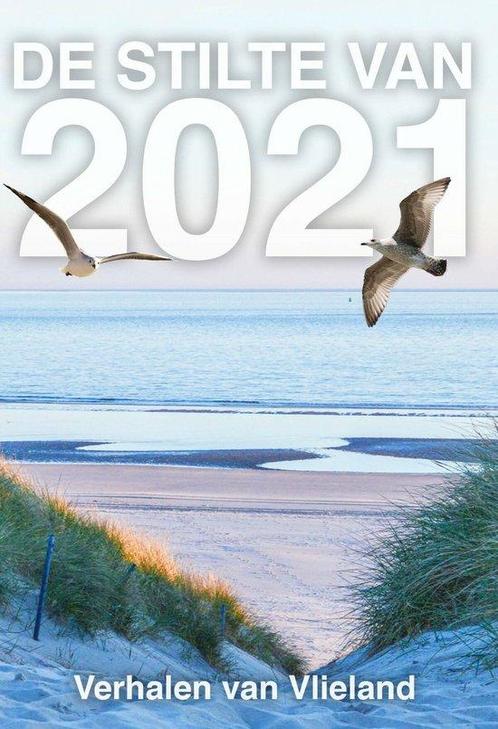 De stilte van 2021 9789493233737 Elly Godijn, Boeken, Literatuur, Zo goed als nieuw, Verzenden