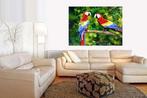 Jack Lacky (1956) - Parrots - XL format