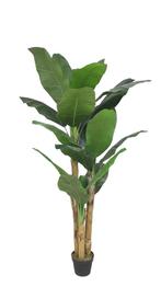Green Banana 180cm, Huis en Inrichting, Ophalen of Verzenden, Nieuw