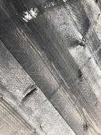 Vuren steigerplank gedroogd en zwart geïmpregneerd, Ophalen of Verzenden, Nieuw, Vuren