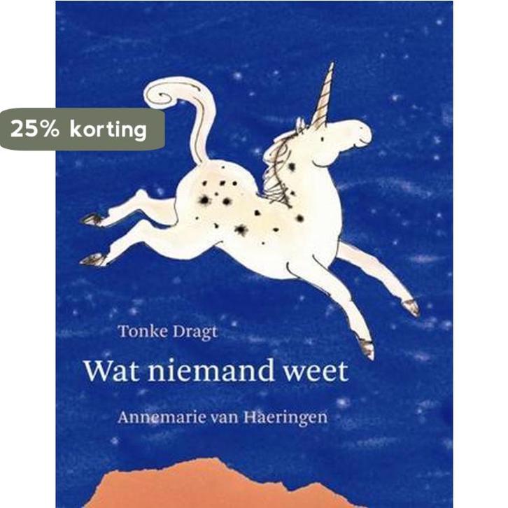 Wat Niemand Weet 9789059650596 T. Dragt, Boeken, Schoolboeken, Gelezen, Verzenden